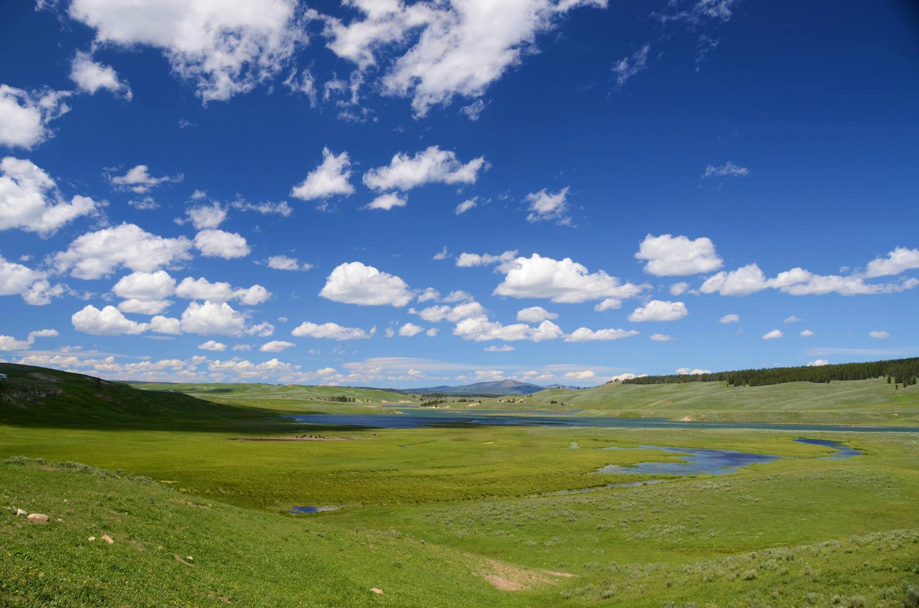 A scenic landscape featuring a lush green field under a bright blue sky adorned with fluffy white clouds.